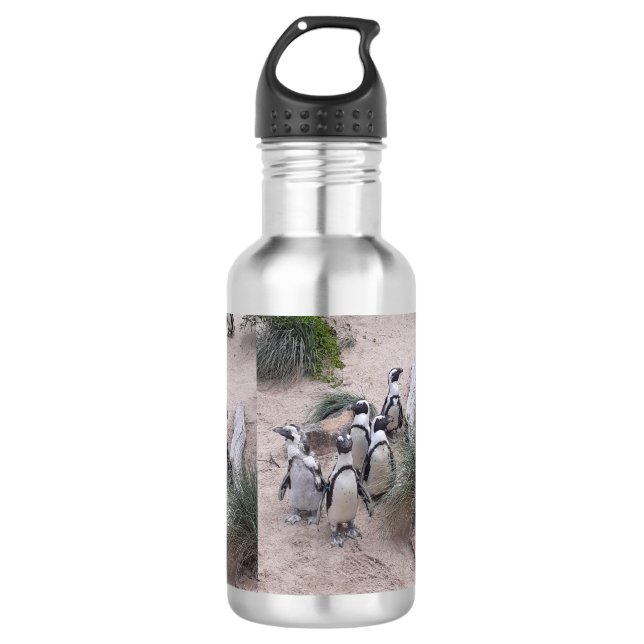 Penguin waterbottle stainless steel water bottle (Front)