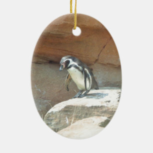 Penguin, Wildlife, Animal, Wild Bird, Zoo, Summer Ceramic Ornament