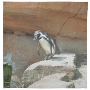 Penguin, Wildlife, Animal, Wild Bird, Zoo, Summer Cloth Napkin