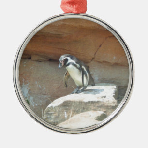 Penguin, Wildlife, Animal, Wild Bird, Zoo, Summer Metal Ornament
