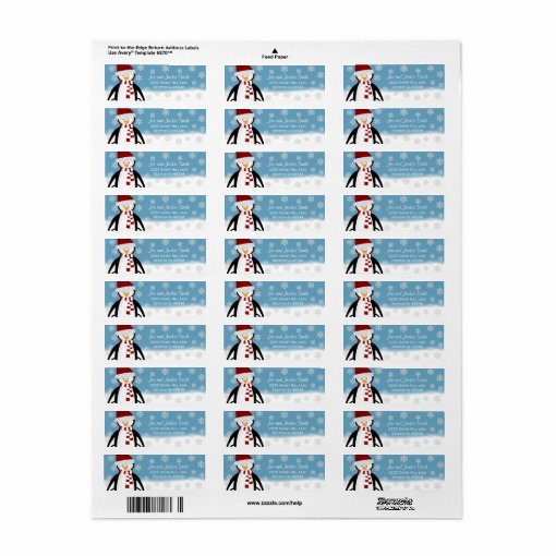 Penguin: Winter Address Labels | Zazzle