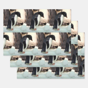 Penguin - Wrapping Paper Sheets