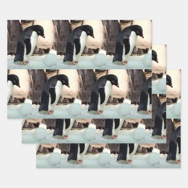 Penguin - Wrapping Paper Sheets (Set)