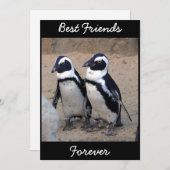 Penguins (Front/Back)