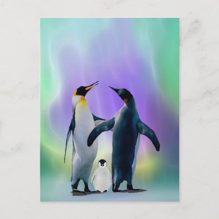 Penguins And Baby In Aurora Borealis Postcard