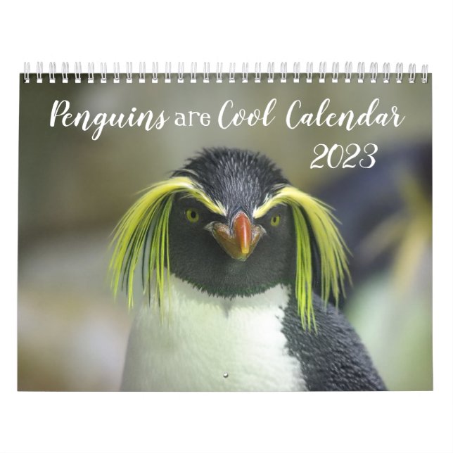 Penguins are Cool Calendar 2023 with Descriptions (Cover)