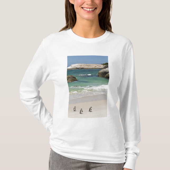 Penguins at Boulders Beach, Simons Town, South 2 T-Shirt (Front)