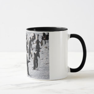 Penguins at Play Mug