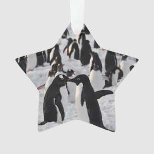 Penguins at Play Ornament
