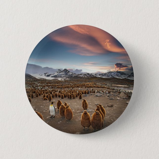 Penguins at Sunset Button (Front)