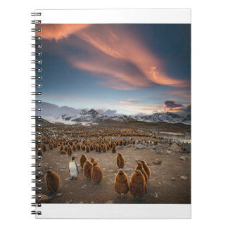 Penguins at Sunset Notebook