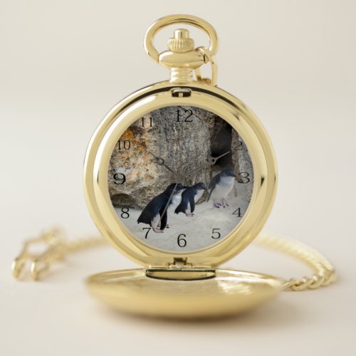 Penguins At Their Beach House   Pocket Watch