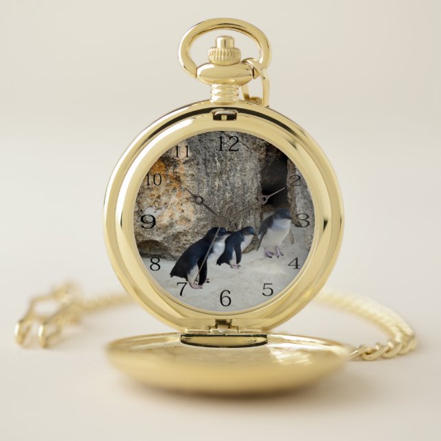 Penguins At Their Beach House,   Pocket Watch (Inside)