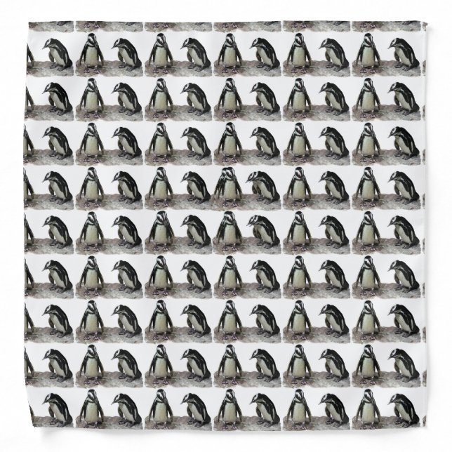 Penguins Bandana (Front)
