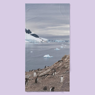 PENGUINS BESIDE SEA BATH TOWEL