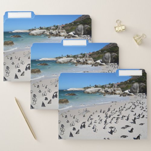 Penguins Boulders Beach  South Africa File Folder