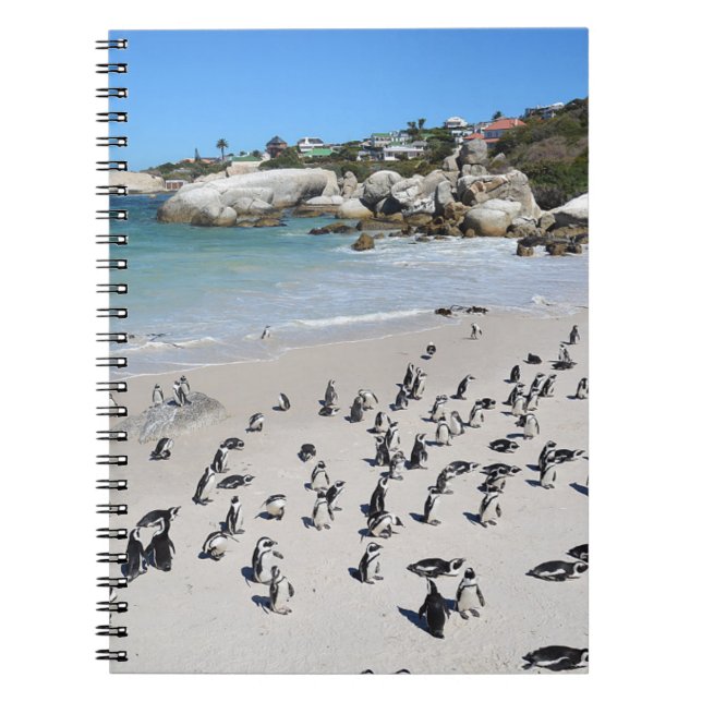 Penguins Boulders Beach | South Africa Notebook (Front)