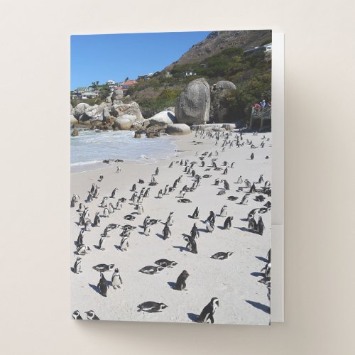 Penguins Boulders Beach  South Africa Pocket Folder