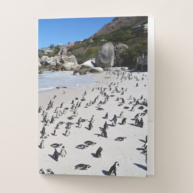Penguins Boulders Beach | South Africa Pocket Folder (Front)