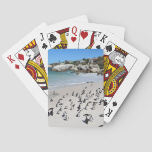 Penguins Boulders Beach   South Africa Poker Cards