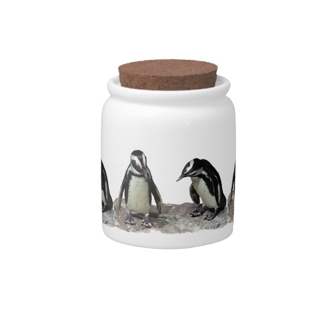Penguins Candy Jar (Front)