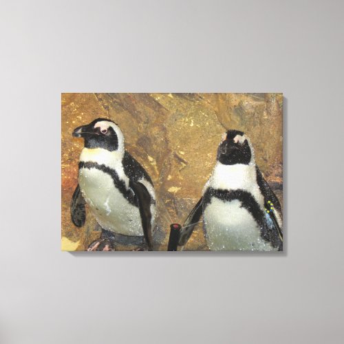 Penguins Canvas Print