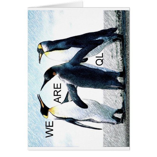 penguins cards (Front)