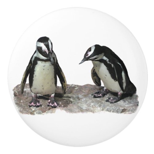 Penguins Ceramic Knob