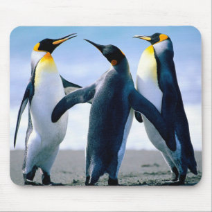 Penguins: Colorful Penguin Mousepad or Mouse Pad
