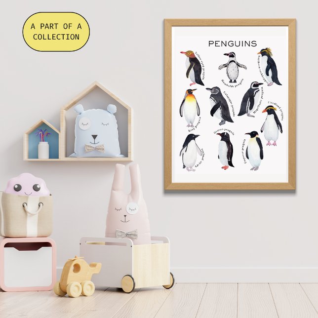 Penguins Educational Poster  (Creator Uploaded)