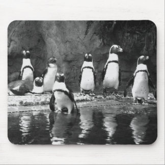 Penguins Galore Mouse Pad