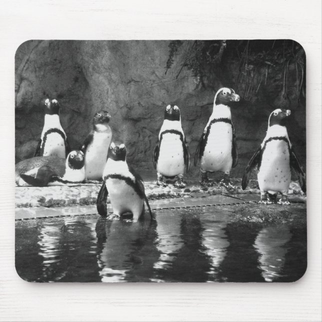 Penguins Galore Mouse Pad (Front)