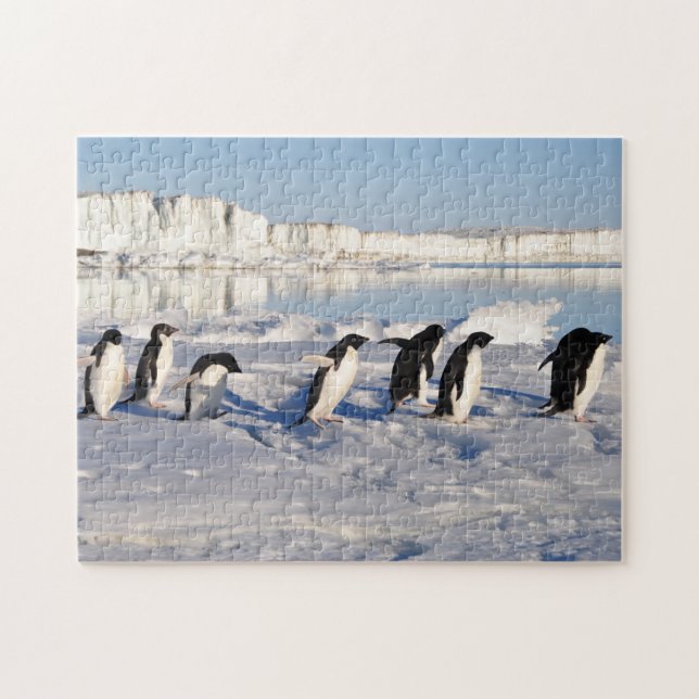 Penguins Game Puzzle (Horizontal)