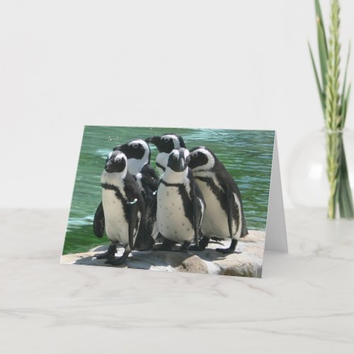 Penguins Greeting Card