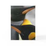 Penguins Greeting Card
