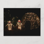 Penguins Holiday Light Display