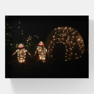 Penguins Holiday Light Display Paperweight