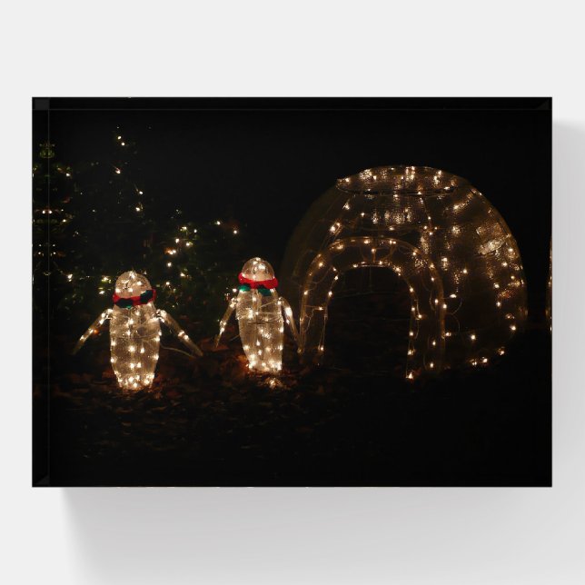 Penguins Holiday Light Display Paperweight (Front)