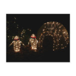 Penguins Holiday Light Display Postcard