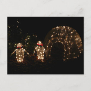 Penguins Holiday Light Display Postcard