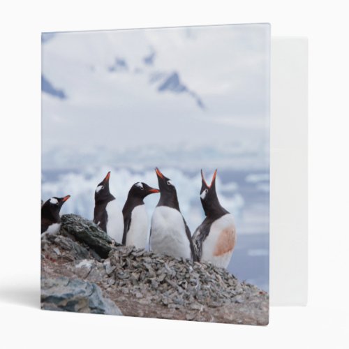 Penguins in Antarctica 3 Ring Binder