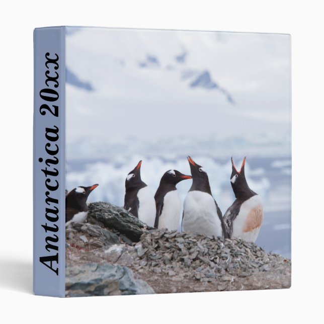 Penguins in Antarctica photo customizable 3 Ring Binder (Front/Spine)