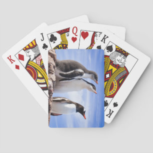 Penguins in Antarctica Poker Cards