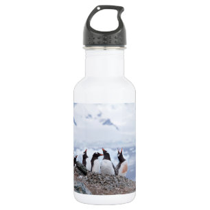 Penguins in Antarctica Stainless Steel Water Bottle