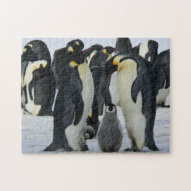 Penguins Jigsaw Puzzle (Horizontal)