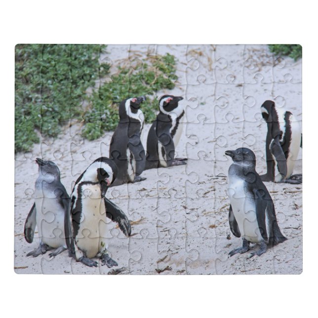 Penguins Jigsaw Puzzle (Puzzle Horizontal)