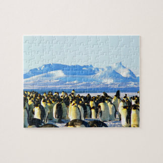 Penguins jigsaw puzzle