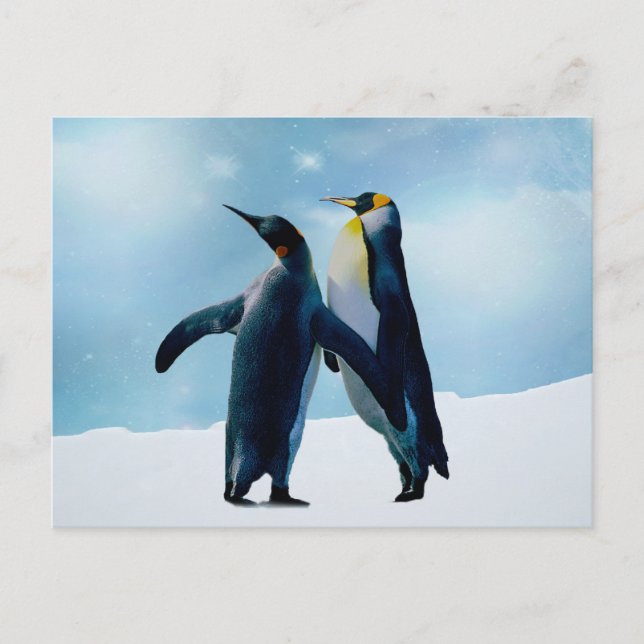Penguins Live and let live Postcard (Front)