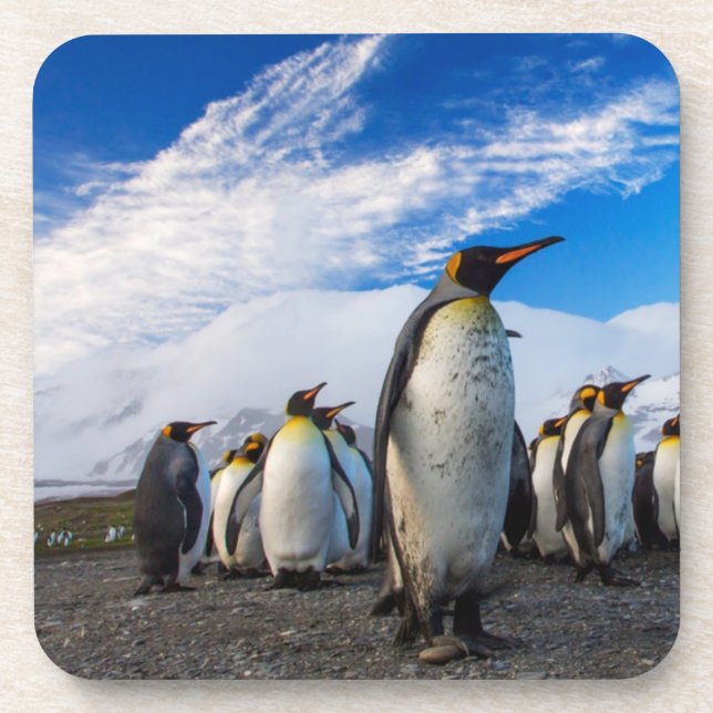 Penguins Marching Blue Sky Beverage Coaster (Front)