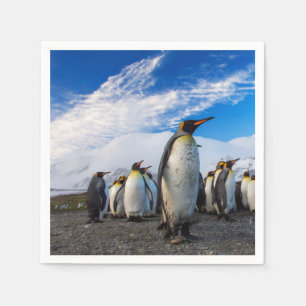 Penguins Marching Blue Sky Napkins